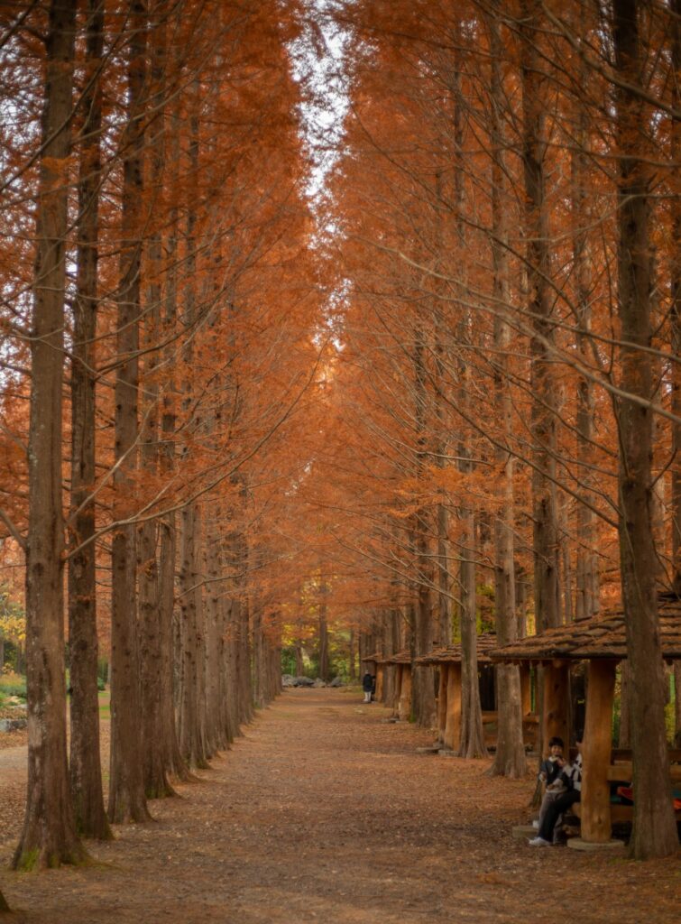 가을 단풍여행 진주수목원